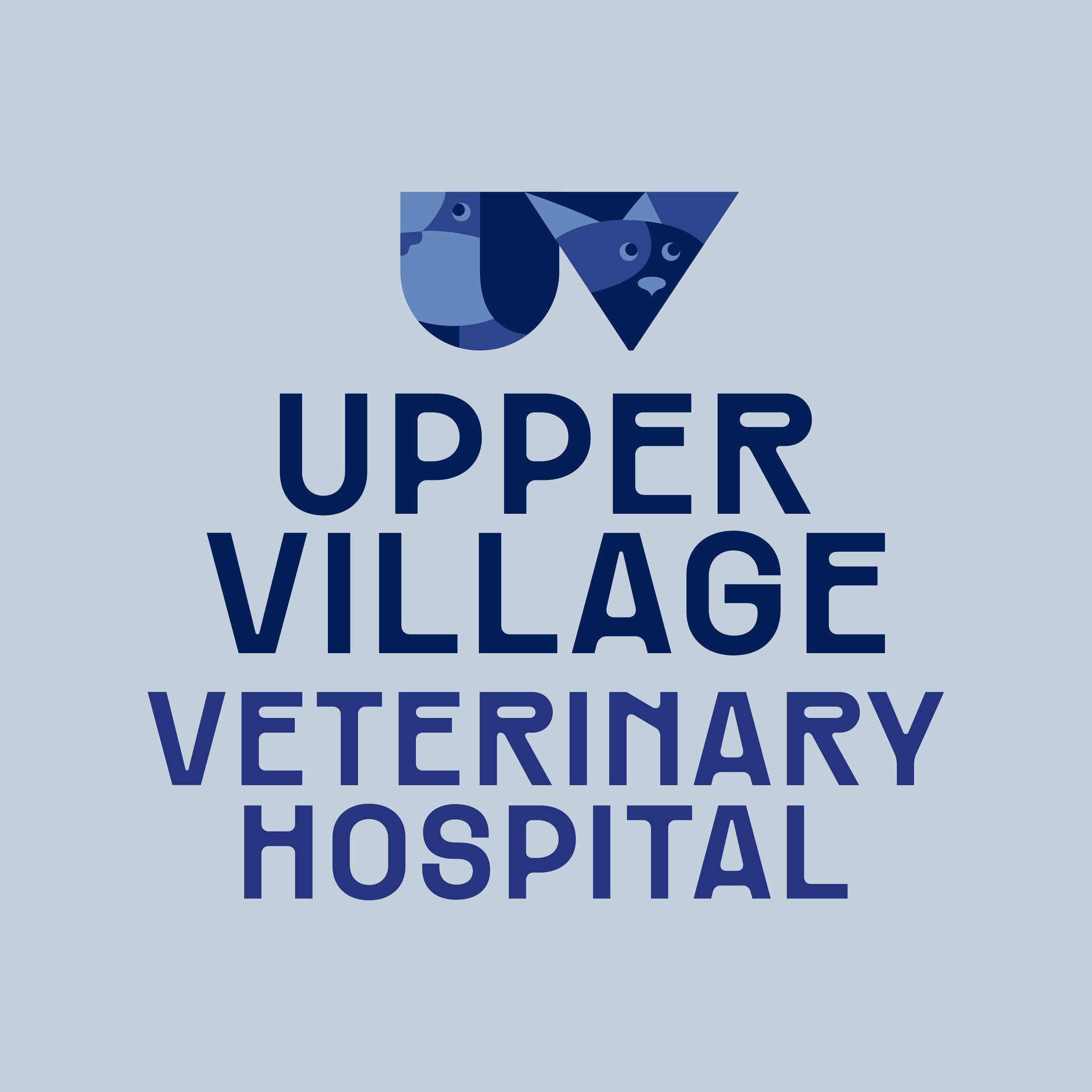 Website Logo